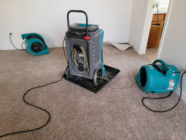 Best Carpet water damage restoration  in Pimlico, SC