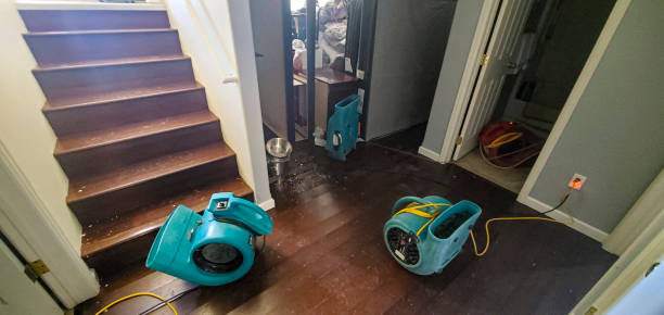 Best Commercial water damage restoration  in Pimlico, SC