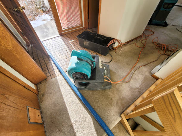 Best 24/7 water damage repair  in Pimlico, SC