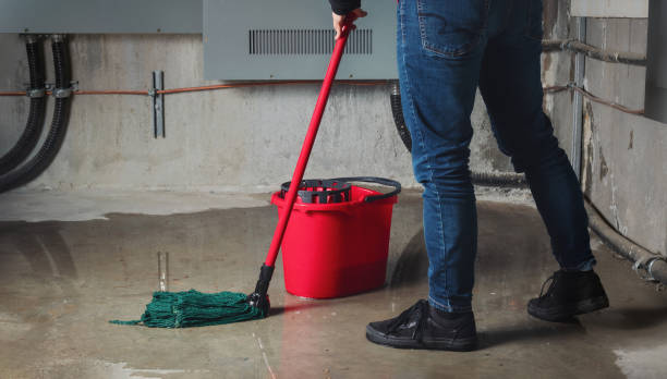 Best Flood restoration services  in Pimlico, SC