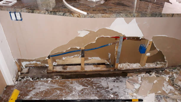 Water damage restoration mold remediation in SC