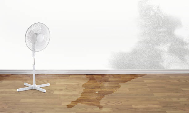 Sewage cleanup and water damage restoration in SC