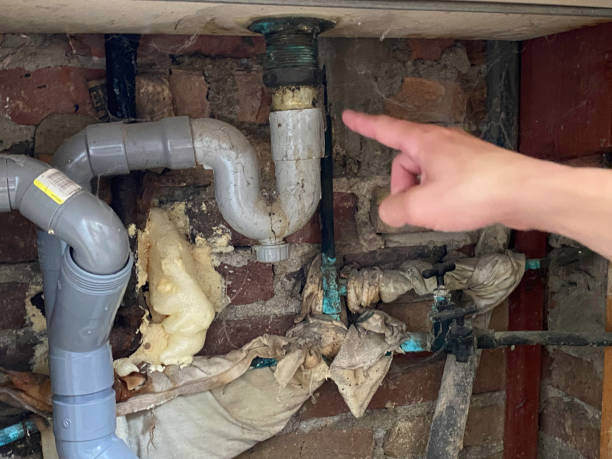 Best Basement water damage restoration  in Pimlico, SC