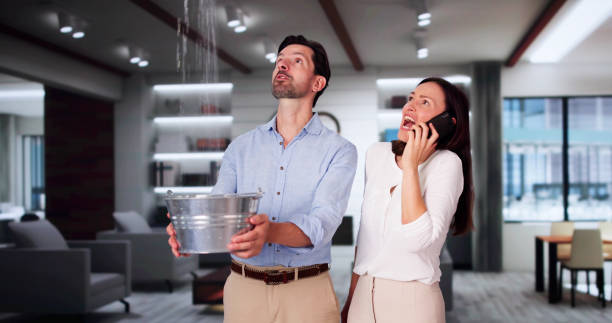 Best Local water damage restoration  in Pimlico, SC