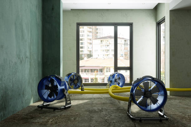 Best Water damage contractors near me  in Pimlico, SC