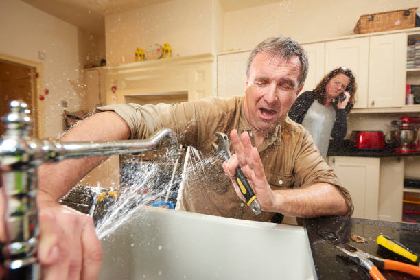  Pimlico, SC Water damage restoration Pros